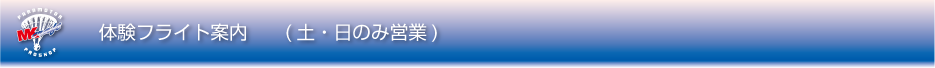 体験フライト案内